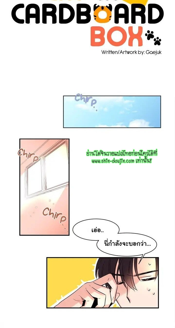 Cat in a Cardboard Box EP 2